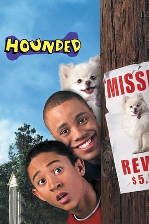 Hounded 2001 Hindi Dual Audio 310MB HD Poster Download - Filmyzilla